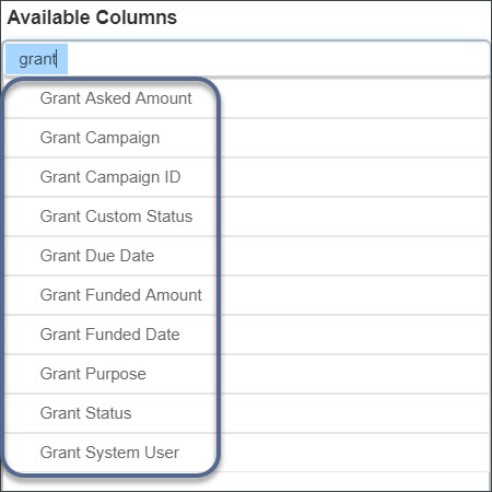 zd_grants_columns_in_account_report.jpg